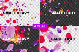 Flowers Falling Pack Seamless Loop Alpha 46172018