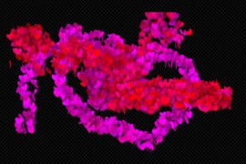 Hearts Elements Creator 43466816