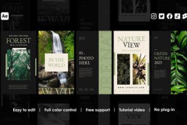 Album Instagram Reels 48461443