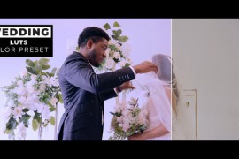 Wedding LUTs 43419676