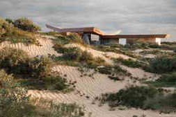 Maxtree – Plant Models Vol. 180