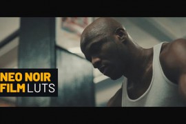 Neo Noir Film Color LUTs 49277817