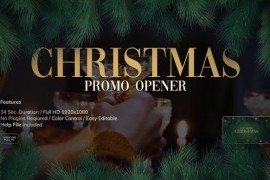 Merry Christmas Promo 49411285