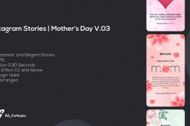 Instagram Stories | Mothers Day Greetings V.03 52173217