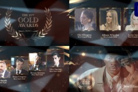 Big Gold Award for Premiere Pro 46233452