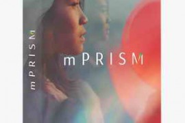 MotionVFX mPrism for Final Cut Pro
