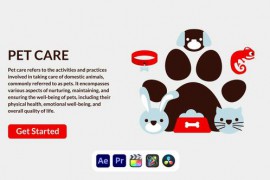 Pet Care Design Concept 50691409