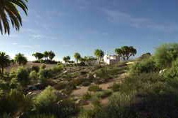 Evermotion – Archmodels vol. 276 – Desert Plants