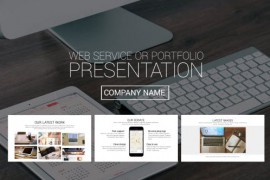 Web Service or Portfolio Presentation 13481724