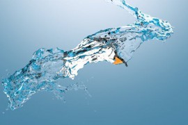Water Logo 33838710