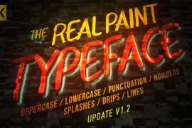 Real Paint Typeface Kit 19688638