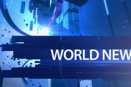 News Broadcast Package 8714353