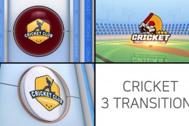 Cricket Logo Transition 48650978