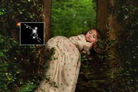 Free Download:Meg Bitton – Sparkle Brushes