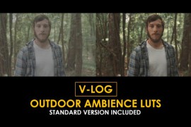 V-Log Outdoor Ambience and Standard Color LUTs 51378599