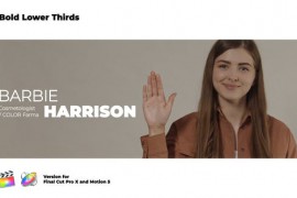 Bold Lower Thirds | FCPX 45359168