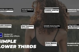 Simple Lower Thirds 44504975