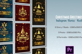 Christmas Greetings - Instagram Stories - Premiere Pro 49600589