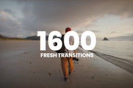 1600+ Fresh Transitions 23329699