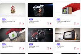 2023.5.10.70.Set.AE.Templates