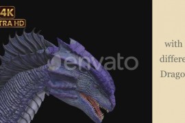 Complete Dragon Package : Blue Dragon 50838667