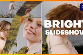 Grid Slideshow with Brushes | Premiere Pro 45465400