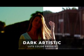 Dark Artistic Luts 43368665