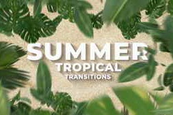 Free Download:Summer Travel Tropical Palm Leaf Transitions 62738683