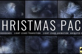 Christmas 22863980