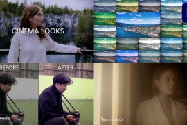 Cinema Looks for Premiere Pro 44560914