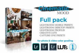 Cinematic Mood Full Pack - WeLovePresets