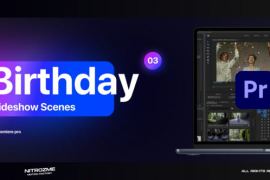 Birthday Slideshow Scenes Vol. 03 for Premiere Pro 