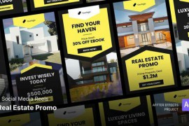 Social Media Reels - Food Promo After Effects Template 49852845