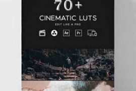 70+ Professional Cinematic LUTs Pack