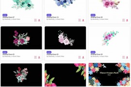 2024.1.20.9.Set.Stock-Video