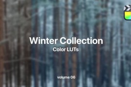 Winter LUTs Collection Vol. 06 50022397