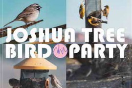 A Sound Effect Aha Sound Joshua Tree Bird Party WAV [Free For Limited Time]