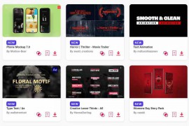 2024.2.19.34.Set.AE.Templates