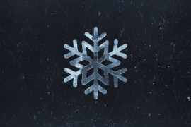 Snow Logo 48738406
