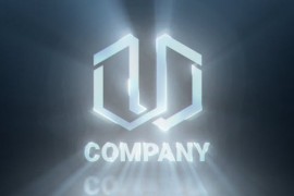 Flashing Logo Reveal 45189966