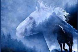 Udemy – Photoshop Essentials For Photographers: Edit Like A Pro