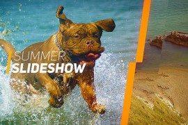 Summer Slideshow 16665840