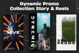 Dynamic Promo Collection Story & Reels Premiere Pro 49155787