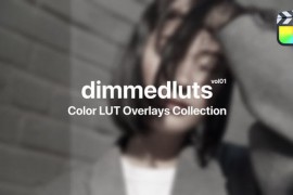 Dimmed Presets for Final Cut Pro Vol. 01 48017288