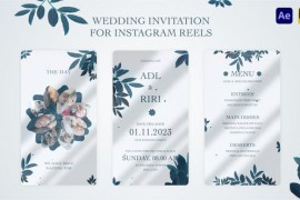 Wedding Invitation for Instagram Reel 46435377