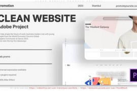 Clean Website Promote Project 49270134