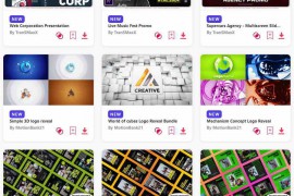 2024.1.31.20.Set.PR.Templates