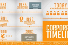 Corporate Timeline 5142282