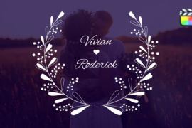 Wedding Titles \ FCPX 46340989