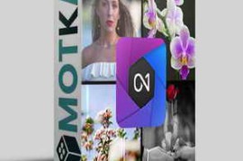 ON1 100 Pack of LUTs, Looks, and Styles